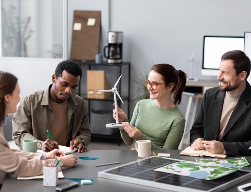 Empowering Solar Companies in Punjab to Grow and Scale